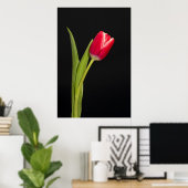 Single Tulpe auf schwarzem Hintergrund Poster (Heimbüro)