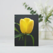 Single Tulpengelb Blume Postkarte (Stehend Vorderseite)