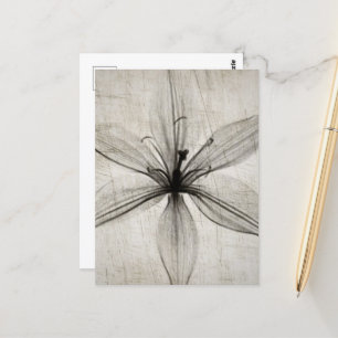 Single Vintage X-Ray Flower Postkarte
