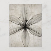 Single Vintage X-Ray Flower Postkarte (Vorderseite)