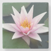 Single Wasserlilie Untersetzer in blassrosa (Vorderseite)