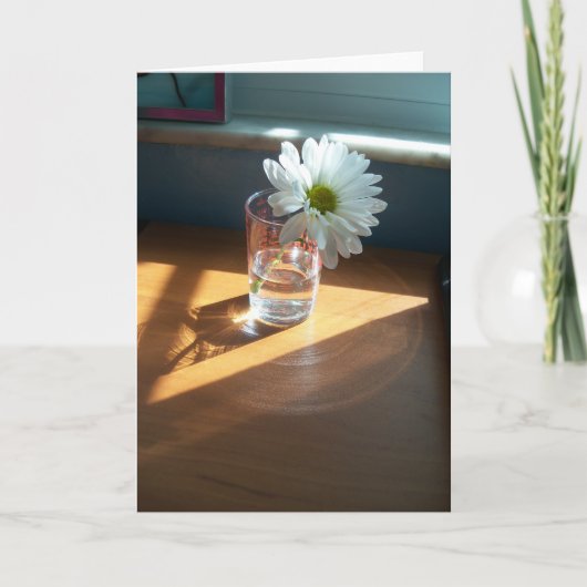 Single weiß dunkel an sonniger Stelle auf einer le Karte (Vorderseite)