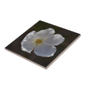 Single-Weißblüte Fliese (Seite)