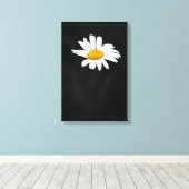 Single White and Yellow Daisy Blume on Black Leinwanddruck (Insitu (Holzboden))