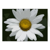 Single White Daisy (Vorderseite (Horizontal))