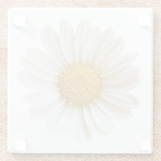 Single White Daisy Glass Untersetzer (Rückseite)