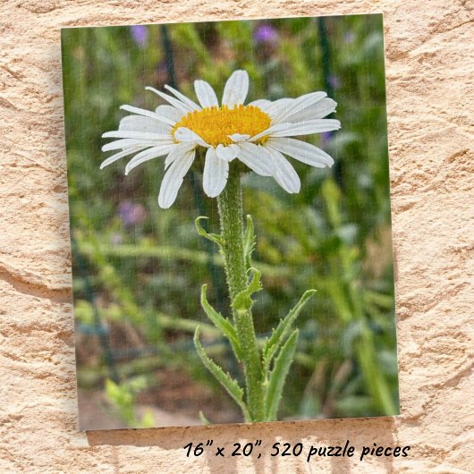 Single White Daisy Nah-Up-Foto Puzzle