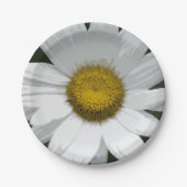 Single White Daisy Pappteller (Vorderseite)