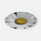 Single White Daisy Pappteller (Schrägansicht)