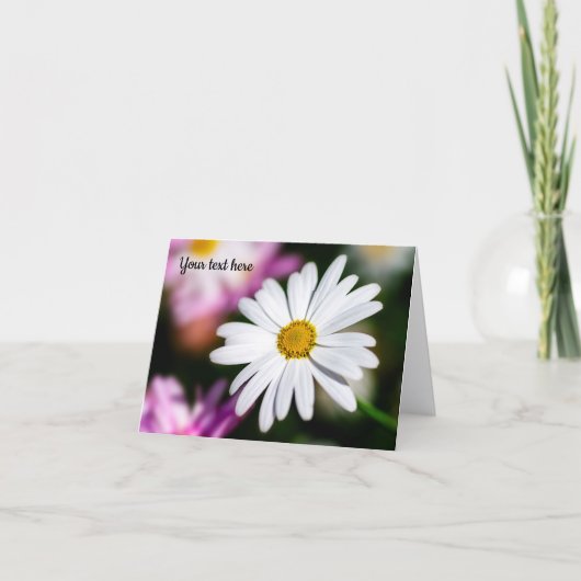 Single White Daisy Postcard Karte (Vorderseite)