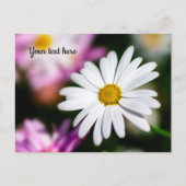 Single White Daisy Postcard Postkarte (Vorderseite)
