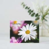 Single White Daisy Postcard Postkarte (Stehend Vorderseite)