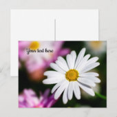 Single White Daisy Postcard Postkarte (Vorne/Hinten)
