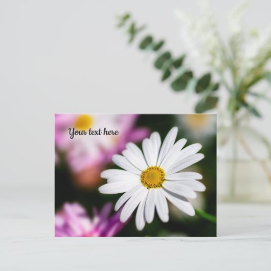 Single White Daisy Postcard Postkarte (Stehend Vorderseite)
