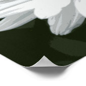 Single White Daisy Poster (Ecke)