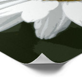 Single White Daisy Poster (Ecke)