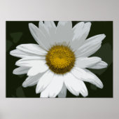 Single White Daisy Poster (Vorne)