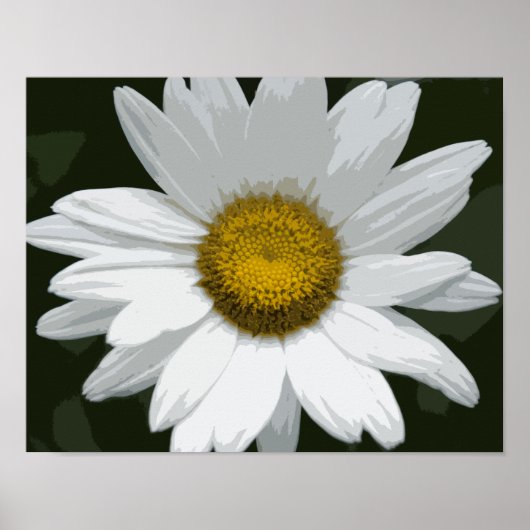 Single White Daisy Poster (Vorne)
