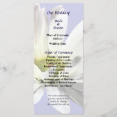 Single White Daisy Wedding Program Programm (Vorderseite)