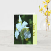 SINGLE WHITE IRIS MIT RAINDROPS KARTE (Gelbe Blume)
