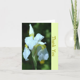 SINGLE WHITE IRIS MIT RAINDROPS KARTE