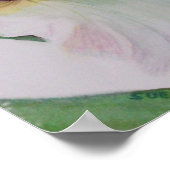 Single White Iris Poster (Ecke)