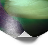 Single White Lady Slipper Orchid Blume 8x8 Fotodruck (Ecke)