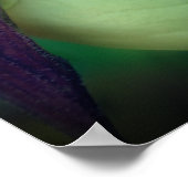 Single White Lady Slipper Orchid Blume Nah Poster (Ecke)