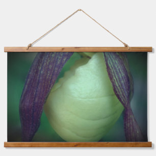 Single White Lady Slipper Orchid Blume Nah Wandteppich Mit Holzrahmen