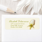 Single White Rose Bud Hochzeitstitel (Insitu)