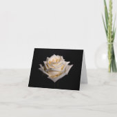 Single White Rose Karte (Vorderseite)