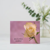 Single White Rose Postcard Postkarte (Stehend Vorderseite)