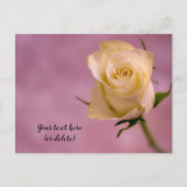 Single White Rose Postcard Postkarte (Vorderseite)