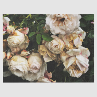 Single White Rose Seidenpapier