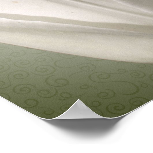 Single White Tulip Blume Erstellen Sie Ihren eigen Poster (Ecke)