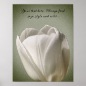 Single White Tulip Blume Erstellen Sie Ihren eigen Poster (Vorne)