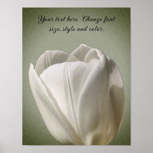 Single White Tulip Blume Erstellen Sie Ihren eigen Poster (Vorne)