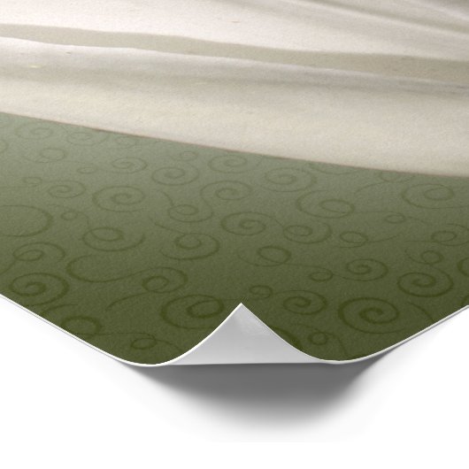 Single White Tulip Blume Poster (Ecke)