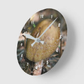Single Wild Brown Pilz-Natur Runde Wanduhr (Winkel)