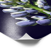 Single Wild Lila Lupine Blume 8x10 Fotodruck (Ecke)