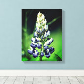 Single Wild Lila Lupine Blume Leinwanddruck (Insitu (Holzboden))