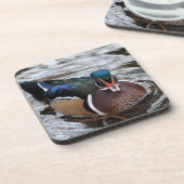 Single Wood Duck Getränkeuntersetzer (Linke Seite)