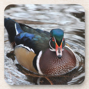 Single Wood Duck Getränkeuntersetzer