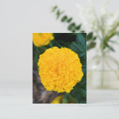 Single Yellow Marigold Postcard Postkarte (Stehend Vorderseite)
