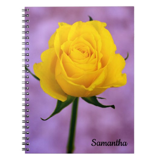 Single Yellow Rose Spirale Notebook Notizblock (Vorderseite)