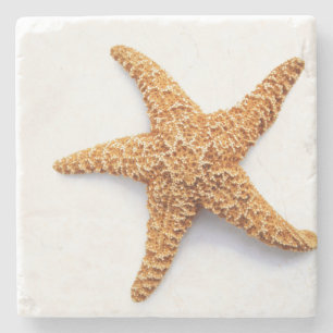 Single Zucker Starfish Steinuntersetzer