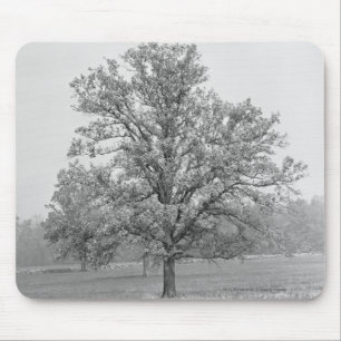 Singlebaum auf dem Gebiet B&W Mousepad
