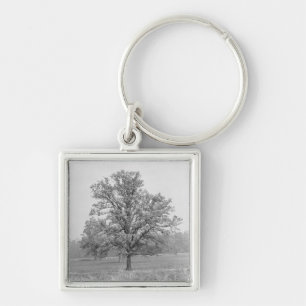 Singlebaum auf dem Gebiet B&W Schlüsselanhänger