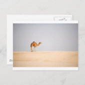 Singlekamel auf arabischen Sanddünen Postkarte (Vorne/Hinten)