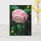 Singlekamelienblüte Karte (Gelbe Blume)